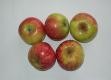 Irish Peach Apple