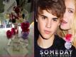 Justin Beiber Inspired Someday Sundae
