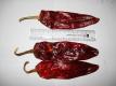 Kashmiri Red Chilli