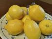 Lemons On A Plate
