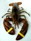 Lobster