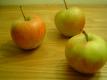 Malus Jupiter