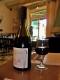 Merlot Des Caves Sylla
