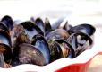 Mussel Stew