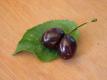 Mutated Cherry