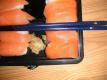 Nigiri Med Laks