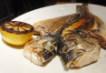 Orata Filet