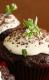 Oregano For Chocolate