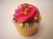Pink Cupcake