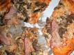 Pizza Med Bacon, Champignon