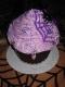 Purple Halloween Cupcake With Spider Web
