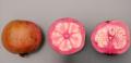 Red Guava