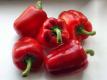 Red Bell Peppers