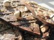 Rocky Road Bark