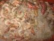 Frozen Shrimps And Lobsters