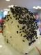 Sesame Onigiri