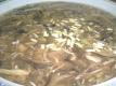 Snake Soup