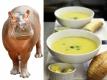 World's First Soup