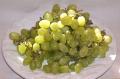 Thompson Seedless Grapes