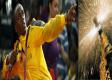 Usain Bolt Downs $125,568 Bottle Of Champagne To Celebrate His Olympic Gold