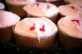Vampire Cupcakes