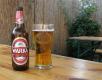 Warka Beer