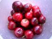 West Indian Cherry