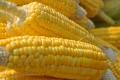 Yellow Corn