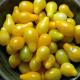 Yellow Pear Tomatoes
