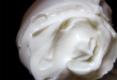 Yogurt Cream Topping