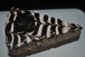 Zebra Torte