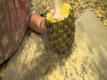 OXO Pineapple Slicer - Product Review