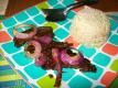 Filipino Beef Steak