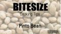 Pinto Bean