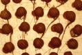 Truffle Recipe Video