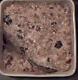 Plum And Blackberry Crumble