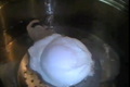 Boiled Poached Eggs
