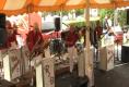 About Review Of Polish Festival Pierogies