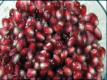 Wegmans How-to Prep Pomegranates