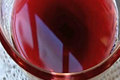Pomegranate Martini