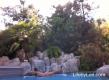 Day 4 Fitness Challenge: Pool Surfing Practice