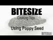 Poppy Seeds