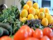How to Start a Raw Food Diet!