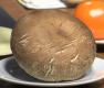 How To Make Portabello Mushroom Panini