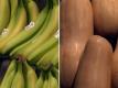 Wegmans Potassium Pointers