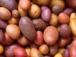 Dry Farmed Potato Perfection