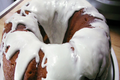 Classic Pound Cake: One Bowl Pound Cake