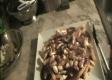 Poutine