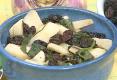 Tips To Enjoy Leafy Greens