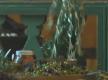 Presidents Day Weekend Ideas: Wine, Olives, And Trains Video